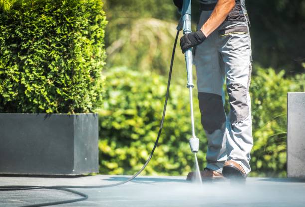 Best Pool Deck Cleaning  in Loyola, CA