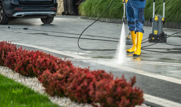 Best Building Exterior Washing  in Loyola, CA
