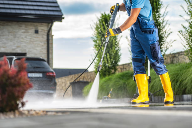 Best Fence Cleaning  in Loyola, CA